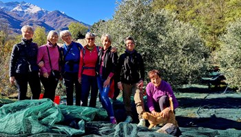 20231111_112340 Oliveto Rossetto