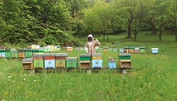 Ametlier_Arnie AZIENDA AGRICOLA AMETLIER