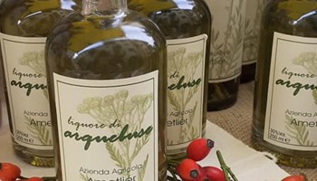 AZIENDA AGRICOLA AMETLIER