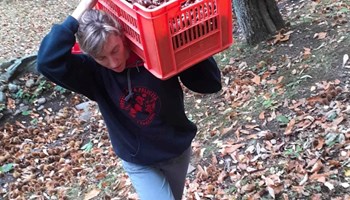 Ametlier_Cassa AZIENDA AGRICOLA AMETLIER