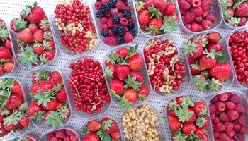 Ametlier_Frutta2 AZIENDA AGRICOLA AMETLIER