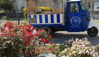 IL GELATO DI GIULIA