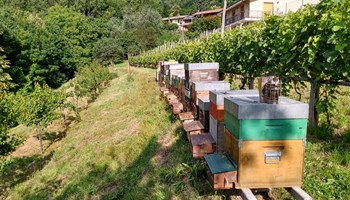 ARTIGIANO DEL MIELE
