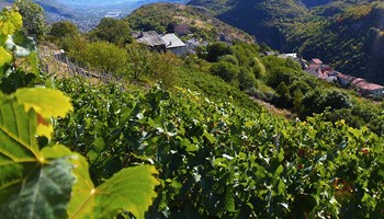 Agriturismo Cré Seren e Azienda Agricola Martina