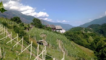 Agriturismo Cré Seren e Azienda Agricola Martina