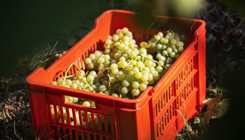 Dellerba 10 Cantina Dellerba