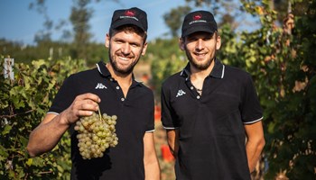 Cantina Dellerba