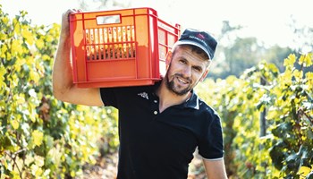 Cantina Dellerba