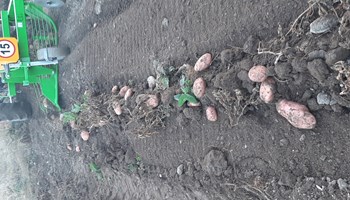 Gran Charle Trattore AZIENDA AGRICOLA GRAN CHARLE