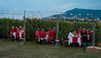 Azienda Agricola Venturino... e il Ciabot di Giaveno!