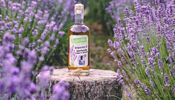 Liquore lavanda AZIENDA AGRICOLA GRAN CHARLE