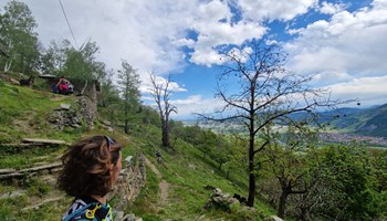 Moris Walk foto 1 MORI'S WALK - GUIDA AMBIENTALE ESCURSIONISTICA