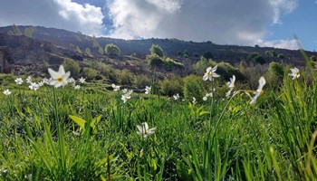 Moris Walk foto4 MORI'S WALK - GUIDA AMBIENTALE ESCURSIONISTICA