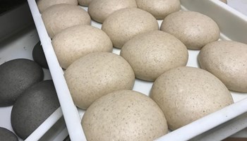 PIZZERIA CA'PIANA