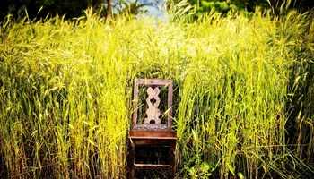 Sedia Gran Charle AZIENDA AGRICOLA GRAN CHARLE