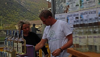 Azienda Agricola Sollier