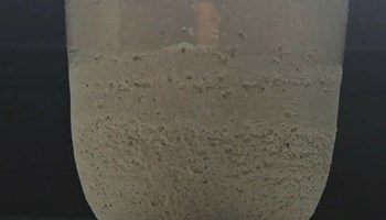 TimoLab_Coppa TIMOLAB