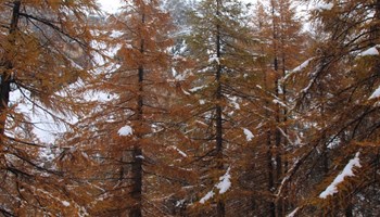 TREKKING MONTAGNA di Luca Abbondi