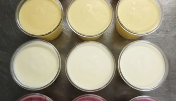 yogurt artigianali2.jpg