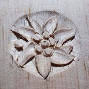 Agri 5 fiore Agri d’Oc