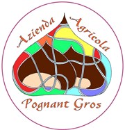 Logo ok.jpg