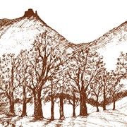 logo la maruna disegno Cooperativa "La Maruna"