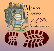 logo-1 MAURO CORSO: la guida naturalistica alla scoperta della Val Sangone e Val di Susa