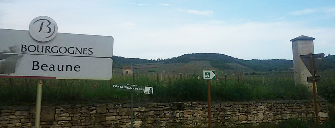 Via col vino 8