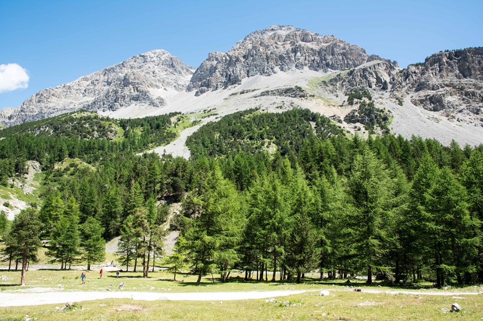 Per salire al grande pianoro che sovrasta la bastionata occorre seguire una traccia di sentiero, che parte dal primo ponticello nei pressi del Pian della Fonderia, passando poi a margine della lunga pietraia che si vede tra le due pinete.