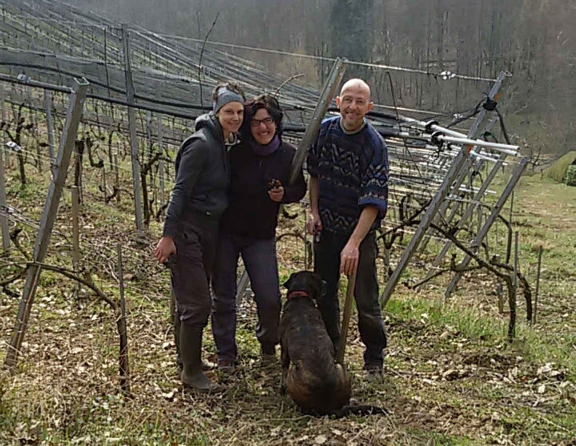 Via col Vino 4: in Alsazia tra i vigneti naturali