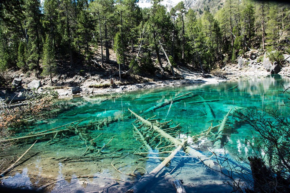 Lago verde