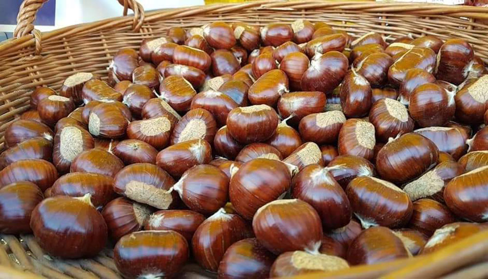 Castagne