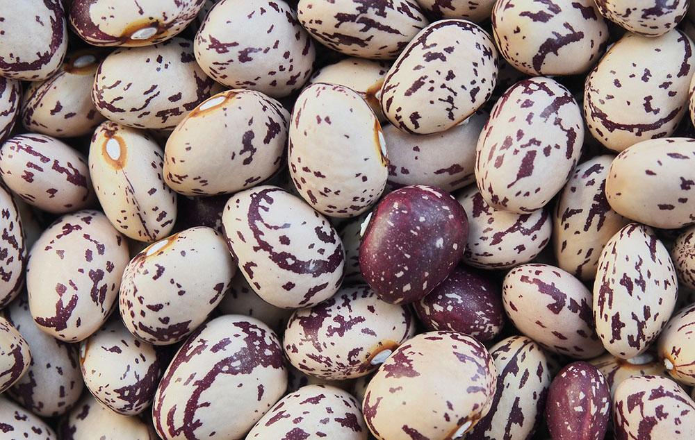 Fagioli Borlotti