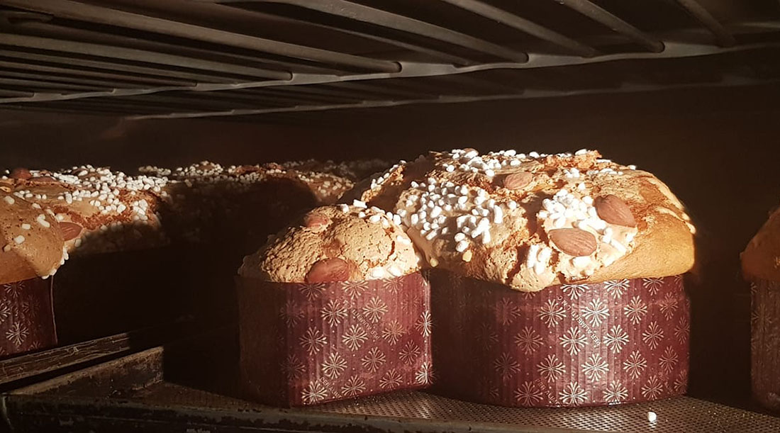 Colomba Marzo