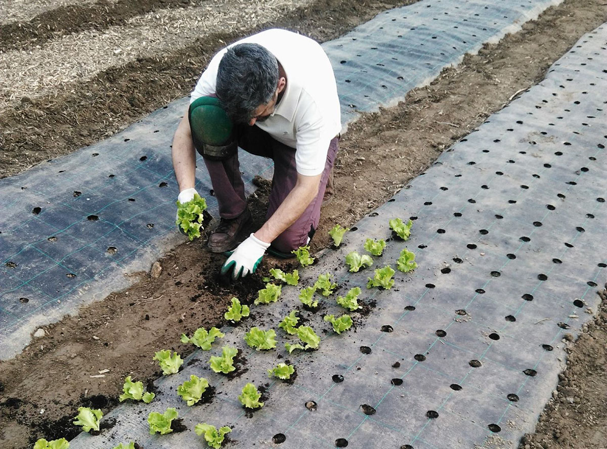 Fabio Porcari nel campo