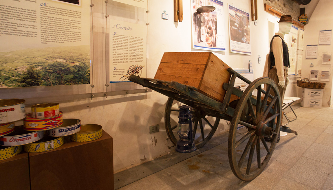 Il lungo viaggio delle acciughe, dai porti della Provenza ai piatti tipici delle nostre montagne