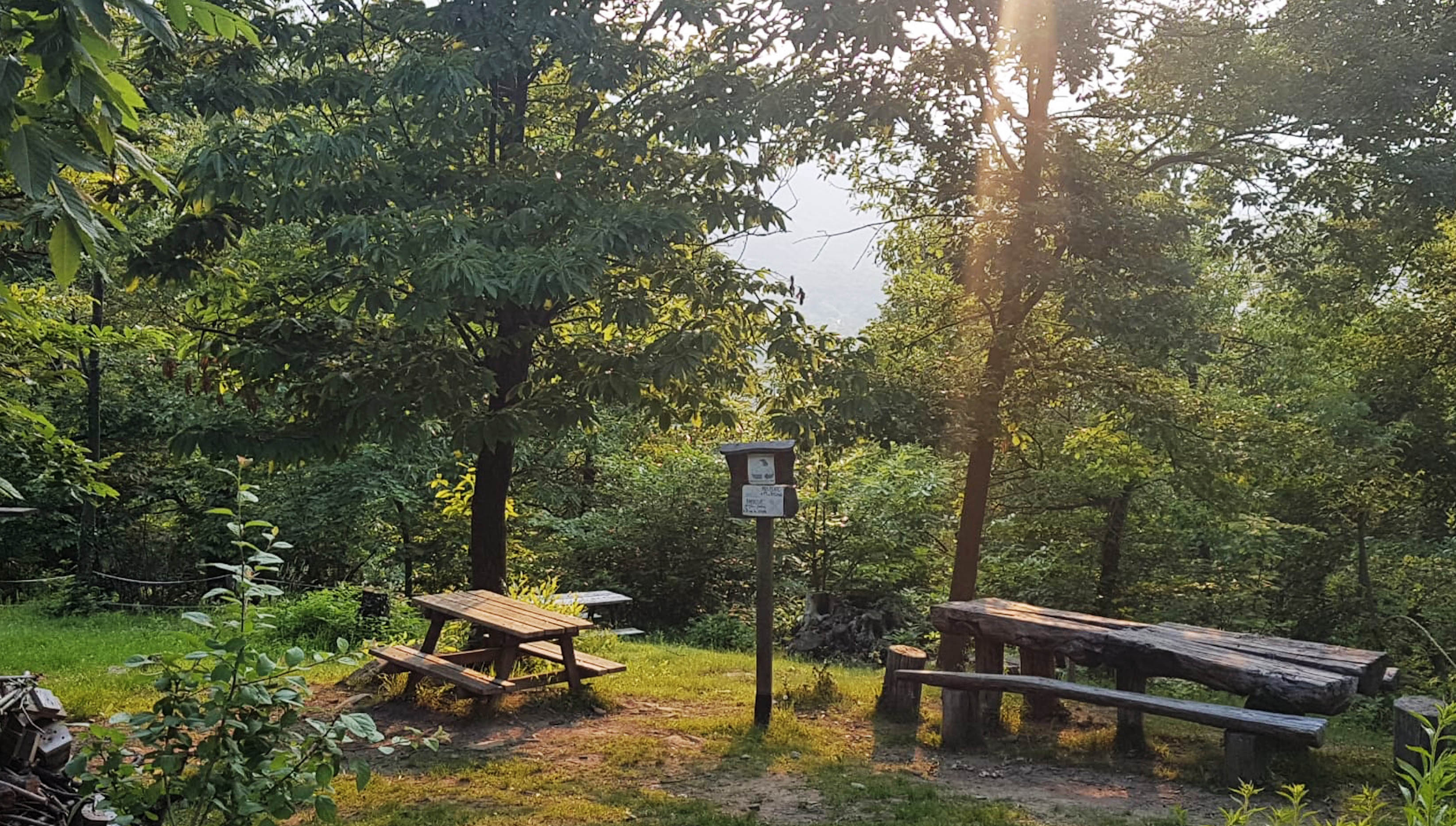 Anche Ancora, un chiosco immerso nel verde e nelle voci della natura