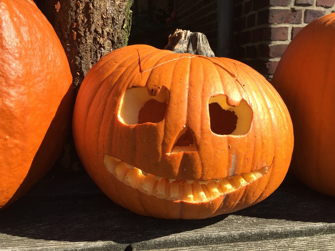 La tradizione di scavare le zucche per Halloween