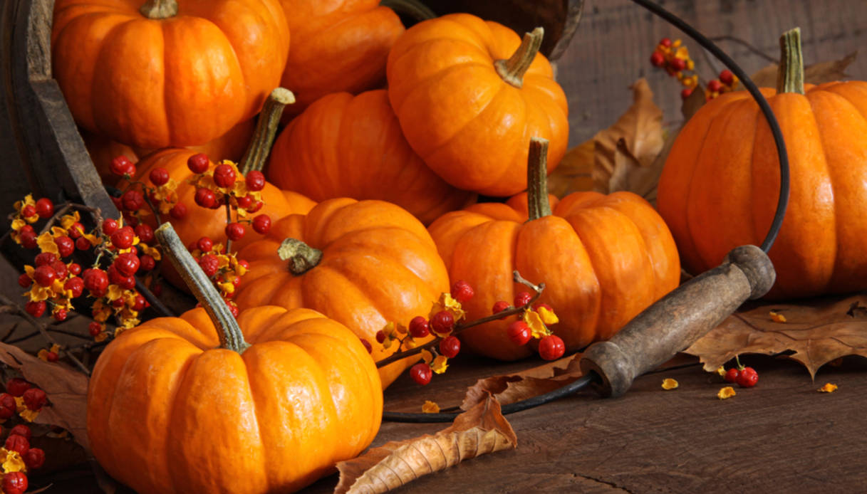 Le ricette dell'autunno: la vellutata di zucca e patate